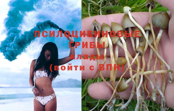 кокаин Арсеньев
