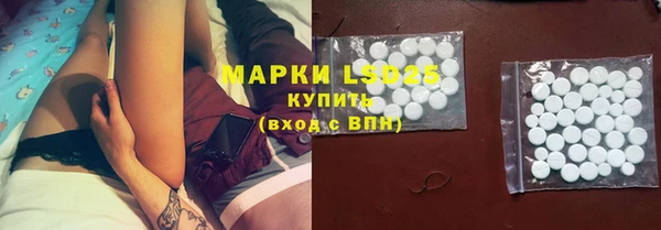 винт Аркадак