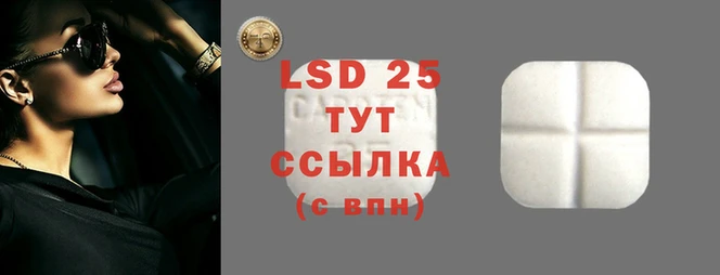 винт Аркадак