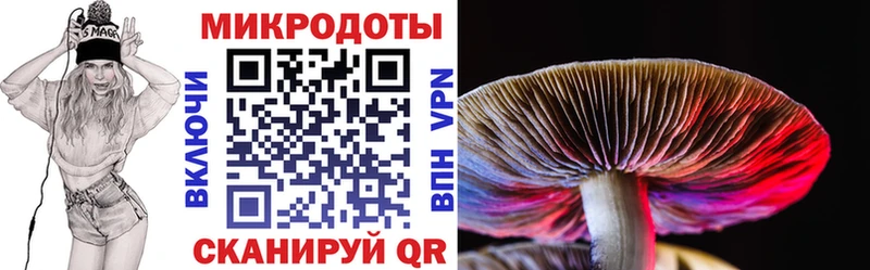 Псилоцибиновые грибы GOLDEN TEACHER  что такое   МЕГА зеркало  Луга 